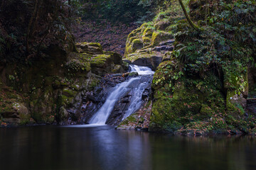日本の風景・秋　三重県名張市　紅葉の赤目四十八滝　霊蛇滝