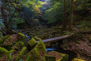 日本の風景・秋　三重県名張市　紅葉の赤目四十八滝