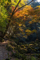 日本の風景・秋　三重県名張市　紅葉の赤目四十八滝