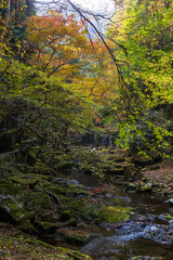 日本の風景・秋　三重県名張市　紅葉の赤目四十八滝