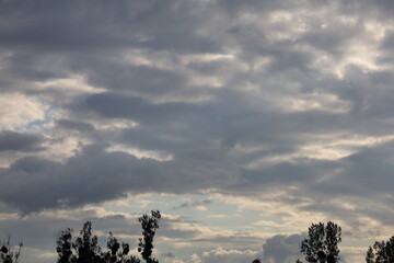 Dreamy Skies and Silhouettes of Trees on Horizon