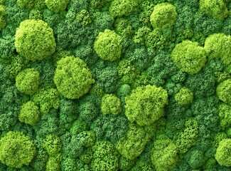 Close-up of a green moss texture background, macro shot. Real natural forest vegetation. Stock photo contest winner on Shutterstock, high-resolution photograph, professional image. 