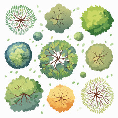 set of watercolor tree top view for landscape plan and architecture layout