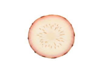 A close-up circular slice of a root vegetable, showcasing its delicate pink exterior and pale interior, radiating out with minute lines, on a completely black background.