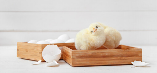 Obraz premium Wooden boxes with cute little chicks and eggs on white table