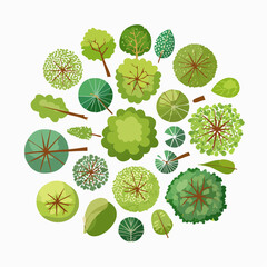 Set of trees top view for landscape and architecture elements