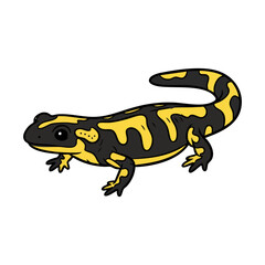Obraz premium Cartoon Tiger Salamander Illustration with Black Stripes and Orange Skin