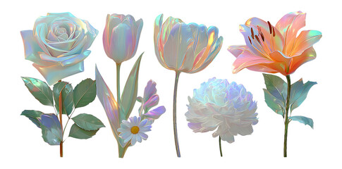 Obraz premium Iridescent Flowers Collection with Transparent Background for Art and Design