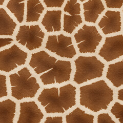 Giraffe skin Texture