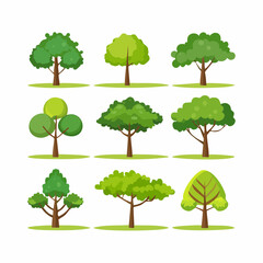 Vector set of tropical green tree side view isolated on white background for landscape and architecture drawing, elements for environment and garden in .