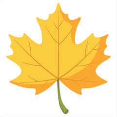 maple leaf 2