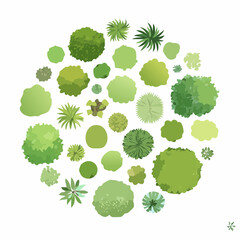 Abstract Aerial View of Green Tree Canopy, Isolated on White Background, Ideal for Landscape Planning and Architectural Layouts, Environmental and Garden Elements, Lush Grass