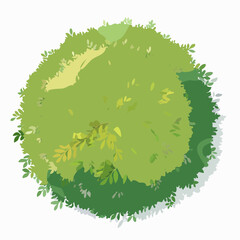 Vector of abstract watercolor green tree top view isolated on white background for landscape plan and architecture layout drawing, elements for environment and garden, green grass illustrati