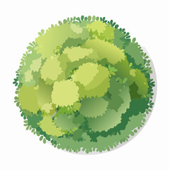 Vector of abstract watercolor green tree top view isolated on white background for landscape plan and architecture layout drawing, elements for environment and garden, green grass illustrati