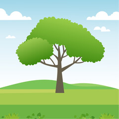 green tree side view isolated on white background for landscape and architecture layout drawing, elements for environment and garden, tree elevation