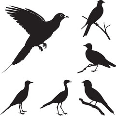 Obraz premium Black bird silhouettes flying perching standing vector