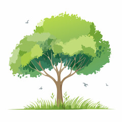 Vector watercolor green tree or forest side view isolated on white background for landscape and architecture drawing,elements for environment or and gard