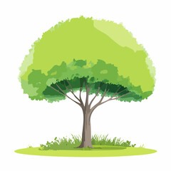 Vector watercolor of green tree side view isolated on white background for landscape and architecture drawing, elements for environment and garden, painting botanical for section and .
