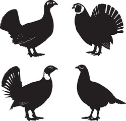 Fototapeta premium Black silhouettes of four birds white background fowl
