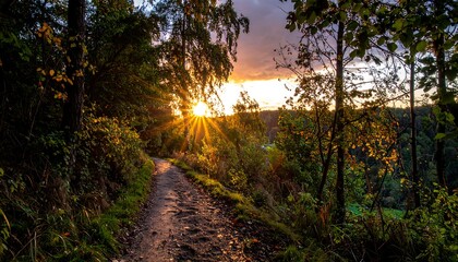 Scenic autumnal pathway at sunset