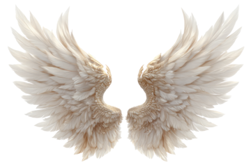 Pair of large, detailed angel wings