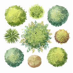 Collection of Isolated Watercolor Tree Top Views for Landscape Planning and Architectural Design, Ideal for Gardening Projects