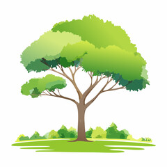 watercolor of tree side view isolated on white background for landscape and architecture drawing, elements for environment and garden, painting botanical for secti