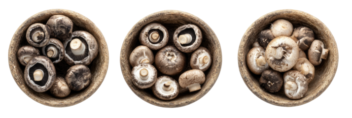 Three round bowls, each filled with several whole mushrooms.  The mushrooms are various shades of gray and brown, with white centers.  The bowls are a light brownish-gray, appearing handmade or rustic