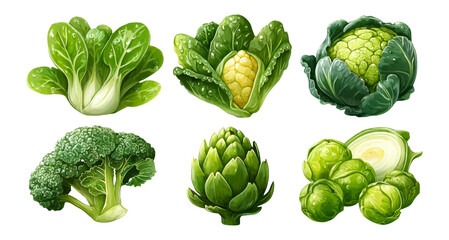 Fototapeta premium Fresh Green Vegetables Collection Isolated on Transparent Background