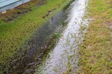 Yard is flooded with water after a severe rainstorm