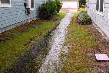 The Yard Between two houses is flooded after a heavy rain storm