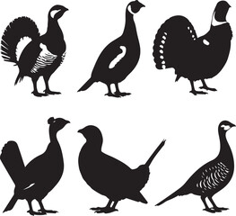 Obraz premium Six black bird silhouettes on white grouse