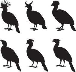 Fototapeta premium Six black bird silhouettes with crests and horns vector