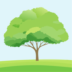 Vector watercolor green tree side view isolated for landscape and architecture drawing, elements for environment and garden,botanical elements for section in .