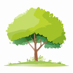 watercolor green tree side view isolated on white background for landscape and architecture layout drawing, elements for environment and garden