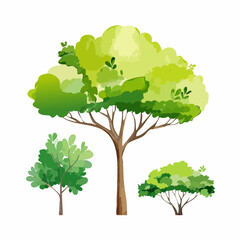 Set of watercolor of tree side view isolated on white background for landscape and architecture drawing, elements for environment and garden,botanical for secti
