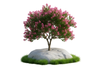 A vibrant, pink flowering tree stands atop a textured rock formation, surrounded by a bed of green grass, against a stark black background.