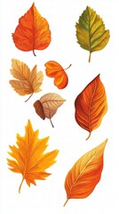 Obraz premium Autumn Leaves: A Collection of Vibrant Fall Foliage