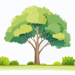 Vector watercolor of tree side view isolated on white background for landscape and architecture drawing, elements for environment and garden, painting botanical for secti