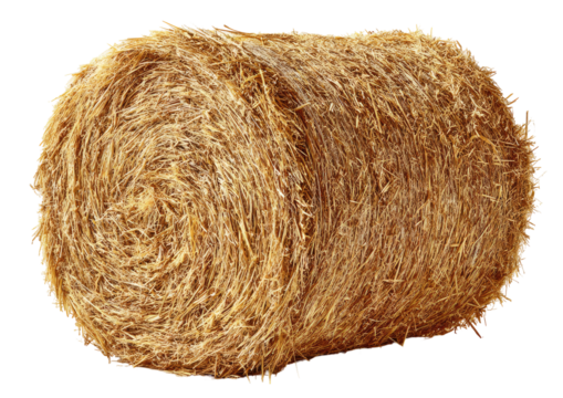 Round bale of dried straw, light golden tan color
