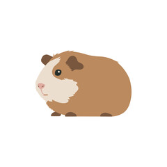 Flat vector illustration of a guinea pig in side view, simple cartoon style, isolated design for pet, animal, or children’s designs