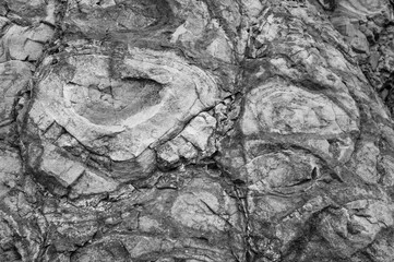 The image is a close up of a rock with a lot of cracks and holes