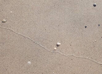 imprint of wave and shell on sand