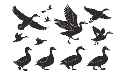 Obraz premium set of silhouettes of birds