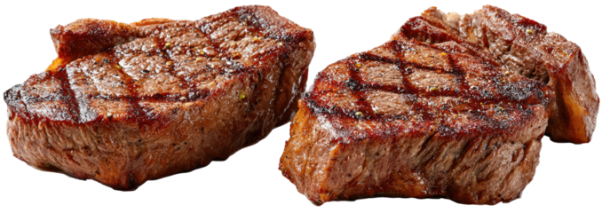 Two grilled steak slices, browned and juicy