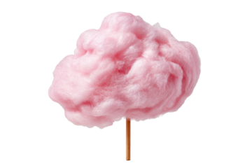 Fluffy pink cotton candy on a stick (2)