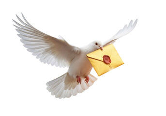 Dove delivers sealed message now
