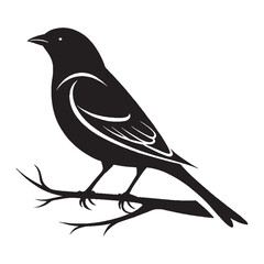 Sitting Birds Silhouette Vector Illustration