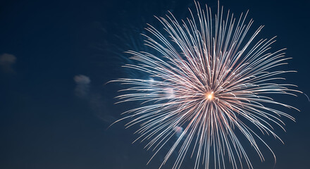 A single firework exploding in the night sky with a burst of white and orange light trails outward