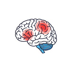 brain damage causing cognitive decline in humans impacting memory and attention perfect for medical education materials